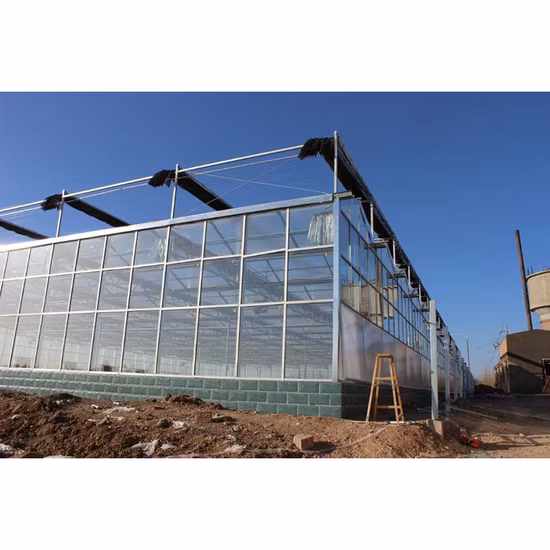 Landwirtschaftliches Venlo-Gewächshaus aus Polycarbonat/Glas zu verkaufen